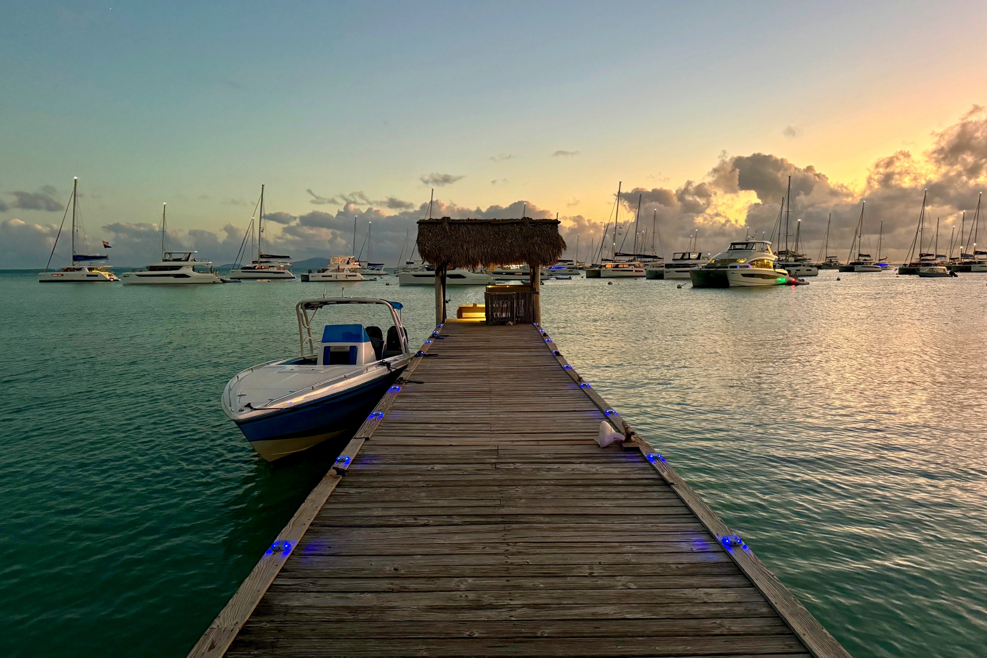 Strandliv i Anegada med palmer